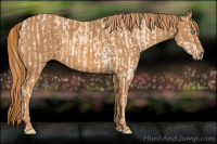 Horse Color:Buckskin Pearl Sabino  Brindle