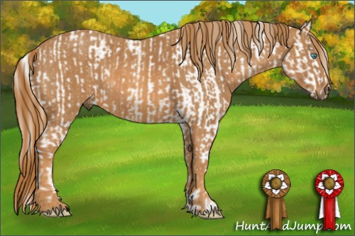 Horse Color: Cremello Sabino  Brindle
