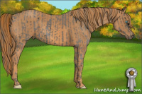 Horse Color:ERROR: UNKNOWN ANOMALY Brindle