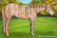Horse Color:Perlino Sabino Brindle