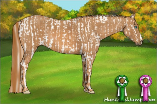 Horse Color: Cremello Sabino  Brindle