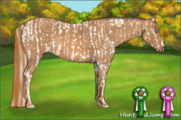 Horse Color:Cremello Sabino  Brindle