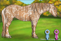 Horse Color:Cremello Sabino Brindle