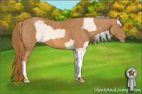 Horse Color:Cremello Sabino  Brindle