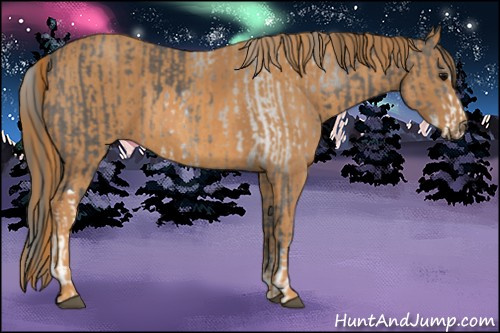 Horse Color: Brown Sabino  Brindle