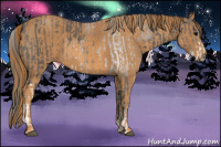 Horse Color:Brown Sabino  Brindle