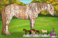 Horse Color:Perlino Sabino Appaloosa  Brindle
