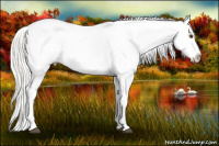 Horse Color:Silver Buckskin Dun Tobiano Appaloosa Rabicano