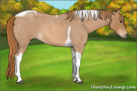 Horse Color:Red Roan Tobiano 