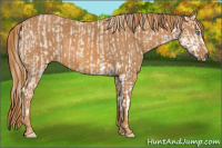 Horse Color:Smoky Creme Sabino  Brindle