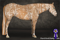 Horse Color:Cremello Sabino  Brindle