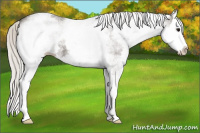 Horse Color:White Spotted Silver Smoky Black Splash 