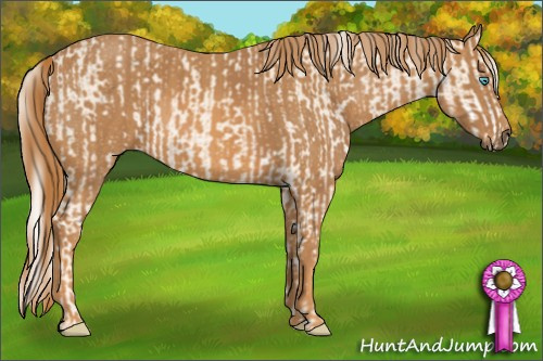 Horse Color: Cremello Sabino  Brindle