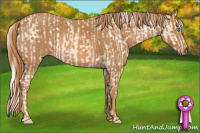 Horse Color:Cremello Sabino  Brindle