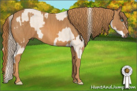 Horse Color:Perlino Sabino Brindle