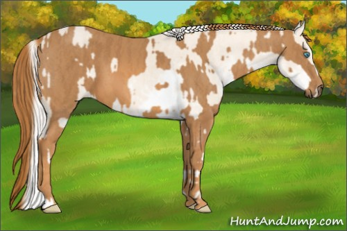 Horse Color: Cremello Sabino  Brindle