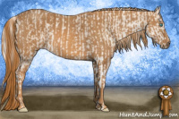 Horse Color:Cremello Sabino  Brindle