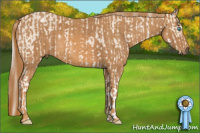Horse Color:Cremello Sabino  Brindle