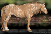 Horse Color:Cremello Sabino  Brindle