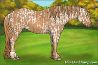 Horse Color:Perlino Sabino Brindle