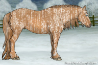 Horse Color:Perlino Sabino Tobiano  Brindle