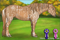 Horse Color:Cremello Sabino  Brindle