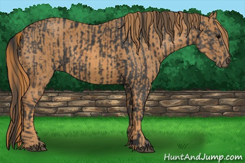 Horse Color: Brown Rabicano  Brindle