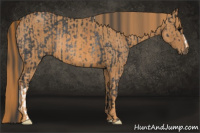 Horse Color:Brown Rabicano  Brindle