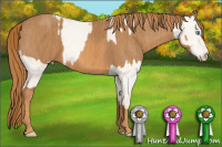 Horse Color:Perlino Dun Sabino  Brindle