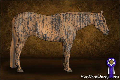 Horse Color: Brown Rabicano  Brindle