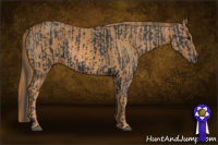 Horse Color:Brown Rabicano  Brindle