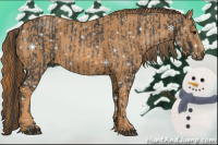 Horse Color:Brown Rabicano Brindle