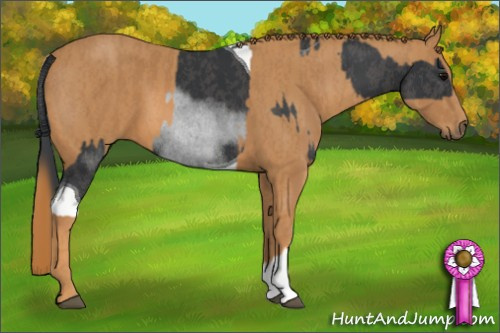 Horse Color: Brown Tobiano Rabicano  Brindle