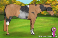 Horse Color:Brown Tobiano Rabicano  Brindle