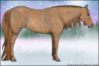 Horse Color:Sable Champagne Roan Rabicano  Brindle