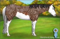 Horse Color:Bay Ice Splash 