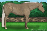 Horse Color:Silver Smoky Black 