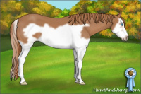 Horse Color:Chestnut Splash Frame