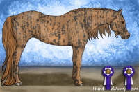 Horse Color:Brown Rabicano Brindle