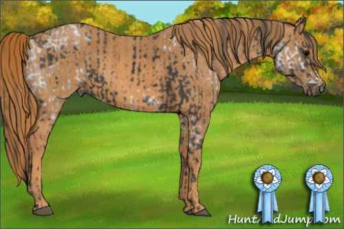 Horse Color: Brown Ice Rabicano  Brindle