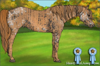 Horse Color:Brown Ice Rabicano Brindle