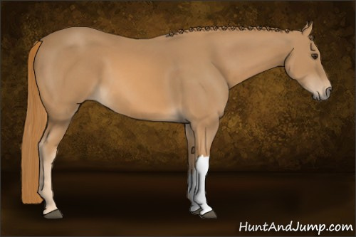 Horse Color: Chestnut 