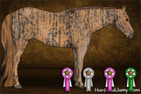 Horse Color:Brown Sabino Rabicano  Brindle