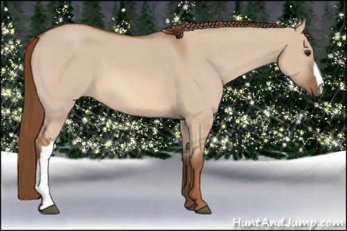 Horse Color: Red Dun 