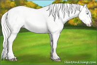 Horse Color:Silver Perlino Dun