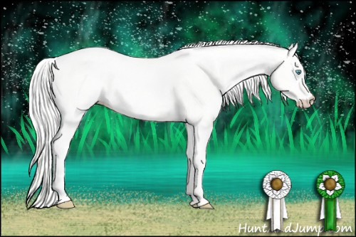 Horse Color: Silver Perlino Dun 