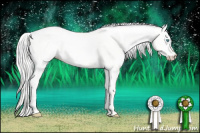 Horse Color:Silver Perlino Dun