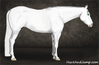 Horse Color:Silver Perlino Dun