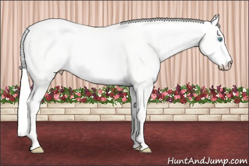 Horse Color: Silver Perlino Dun 