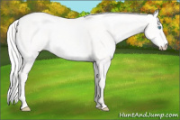 Horse Color:Silver Smoky Creme Dun 